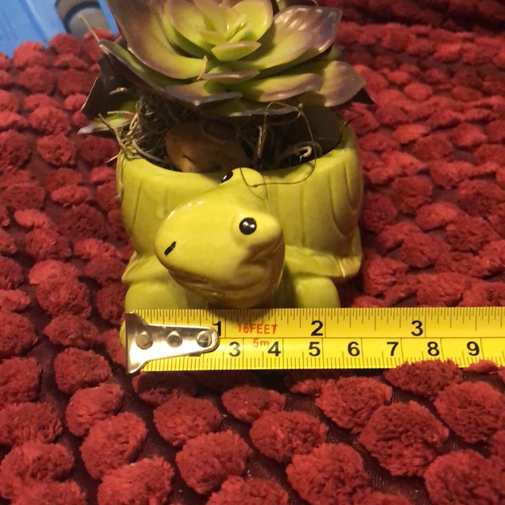 Turtle pot - Picture 5 of 5